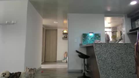 eva online show from February 27, 4:29 pm