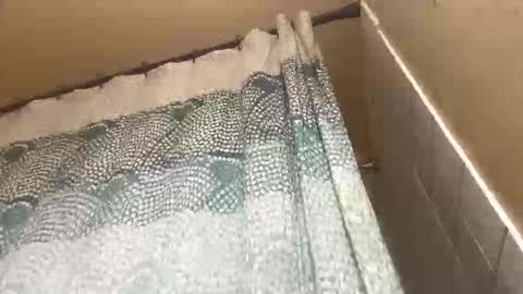 Snapshot of addictedtobustnloads1 chatting on January 12, 7:57 am addictedtobustnloads1 online show from January 12, 7:57 am