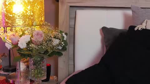 Snapshot of addictivesin chatting on January 8, 10:16 pm GAbby----Onlyfans online show from January 8, 10:16 pm