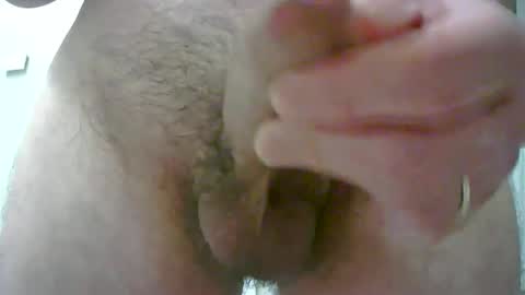 adi2019 online show from November 24, 4:51 pm