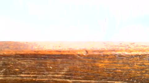 Snapshot of adjame18 chatting on May 20, 1:50 pm Adjame18 online show from May 20, 1:50 pm