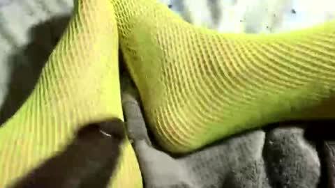 adm7733 online show from November 21, 9:41 am