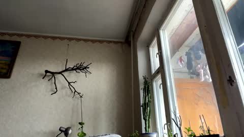 vegans taste better online show from October 14, 6:14 am