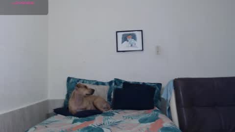 Agatha online show from March 18, 3:20 am