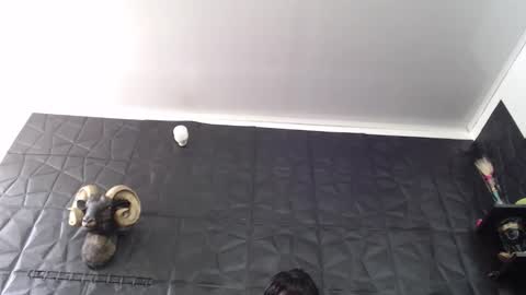  Miss Agata  online show from February 13, 5:20 pm