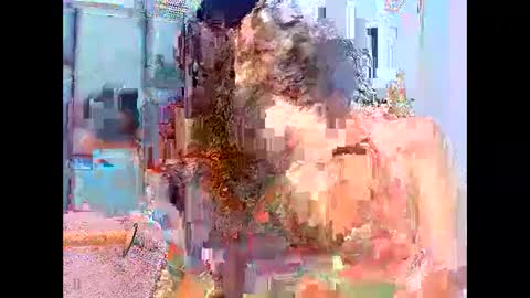 agatha online show from January 11, 3:00 am