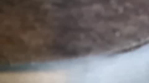 aj297914 online show from February 17, 3:14 am