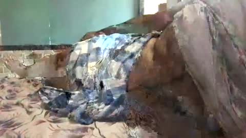 BigHairyGuy online show from December 16, 6:32 am