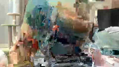 Akira Zay online show from March 1, 7:54 am