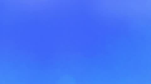 Alaia online show from April 4, 6:05 pm