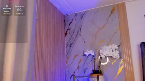   Schedule 700a.m - 200p.m Col hour online show from November 12, 12:27 pm