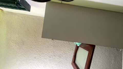 isabella online show from February 26, 1:10 pm