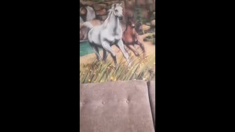 albina online show from February 13, 9:49 am