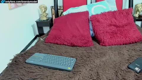 Andres star online show from December 23, 11:49 pm