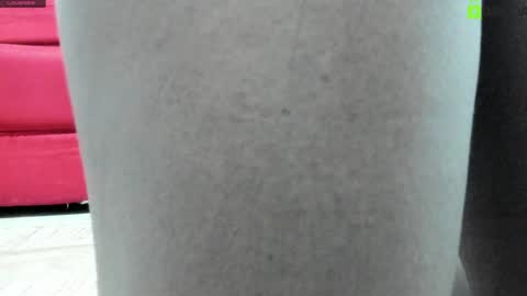 Snapshot of alejandra_dunn chatting on January 13, 1:39 pm Alejandra online show from January 13, 1:39 pm