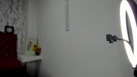 Snapshot of alejandra_james chatting on May 4, 11:28 am ALEJANDRA JAMES online show from May 4, 11:28 am