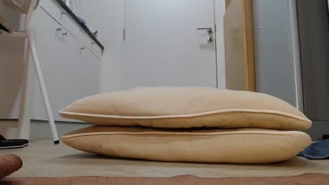 Nicha online show from November 5, 3:06 am