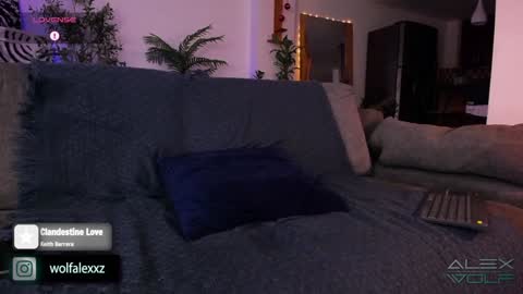 Snapshot of alex_wolf__ chatting on January 16, 2:41 am Alex Wolf online show from January 16, 2:41 am