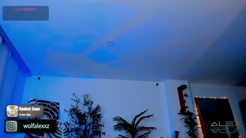 Snapshot of alex_wolf__ chatting on January 17, 5:21 am Alex Wolf online show from January 17, 5:21 am