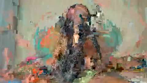 Alexa online show from January 15, 6:29 am