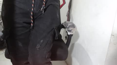 Alexamdergal online show from March 12, 12:17 am