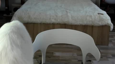 Snapshot of alexarti chatting on February 19, 4:30 am Alex online show from February 19, 4:30 am