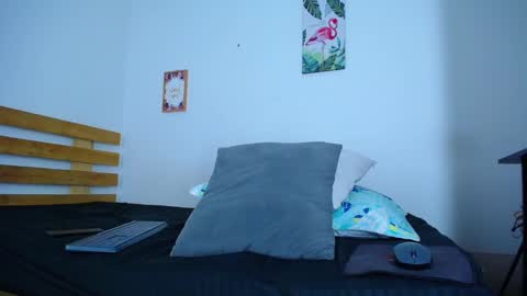 Snapshot of alexisbigc chatting on February 10, 11:13 pm alex online show from February 10, 11:13 pm