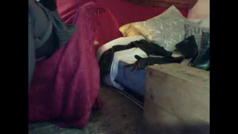 Snapshot of alexischat chatting on September 25, 4:16 am alexischat online show from September 25, 4:16 am