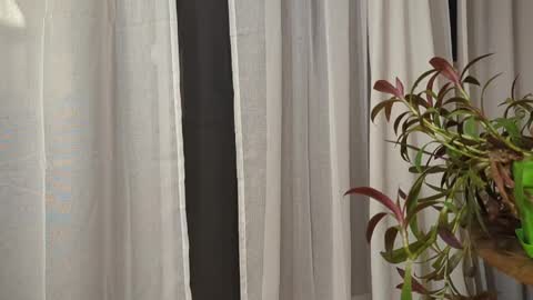 Snapshot of ali500886 chatting on March 30, 5:52 am ali500886 online show from March 30, 5:52 am