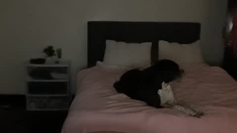 spaceprincess online show from April 22, 5:43 am