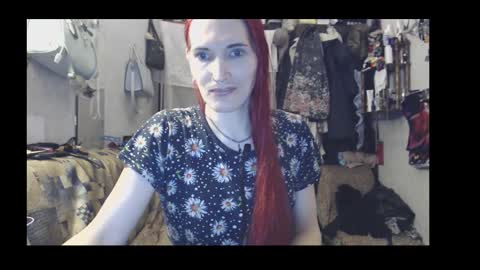 Snapshot of alisa_marta_ chatting on February 7, 10:46 pm Alisa Marta liska online show from February 7, 10:46 pm