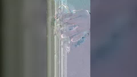 alisherof online show from January 13, 11:15 am