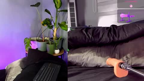 Snapshot of alisson_clare chatting on December 19, 11:12 pm A L I S S O N online show from December 19, 11:12 pm