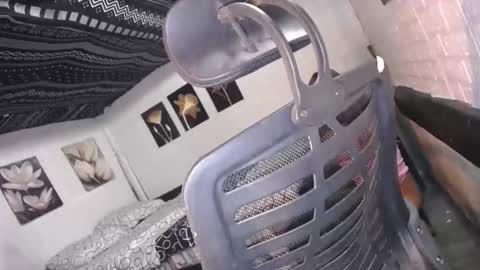 Snapshot of allday_mistress chatting on December 16, 10:09 am trina online show from December 16, 10:09 am