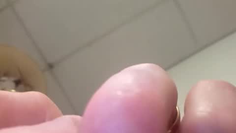 alldickandass11 online show from February 14, 4:59 pm