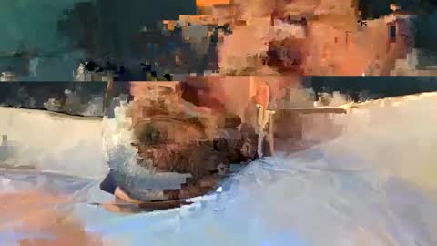 Snapshot of alpachino7777 chatting on February 19, 5:27 pm alpachino7777 online show from February 19, 5:27 pm