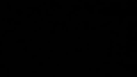 Snapshot of alphakittyxxx chatting on January 29, 5:02 pm Shelby or if you want to make me purr just call me Kitten online show from January 29, 5:02 pm