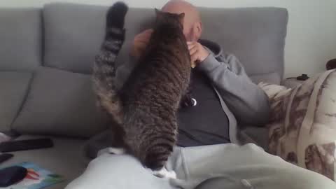 alsi72 online show from January 18, 1:48 pm