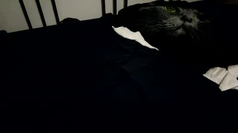 amadeusz online show from December 6, 10:19 pm