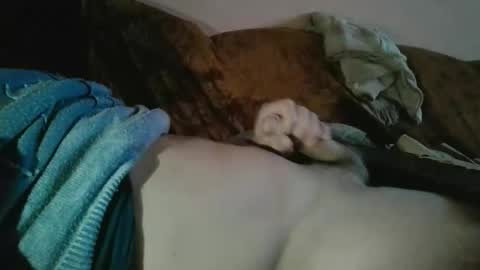 Snapshot of amazingcuteboy845 chatting on October 18, 9:15 pm amazingcuteboy845 online show from October 18, 9:15 pm