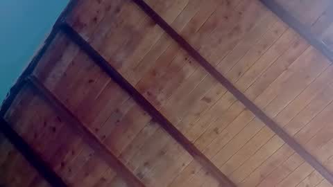 Amelia  Lucas online show from October 2, 3:19 pm