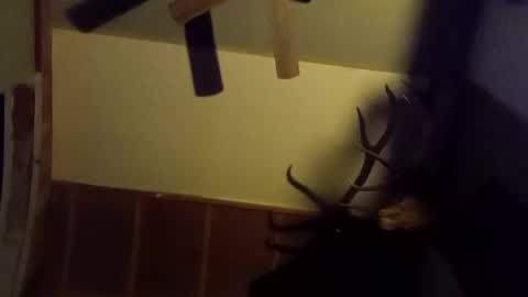 Snapshot of ammoman22 chatting on March 9, 5:55 am ammoman22 online show from March 9, 5:55 am