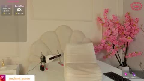 Snapshot of amykord chatting on November 2, 11:34 am Amykord online show from November 2, 11:34 am