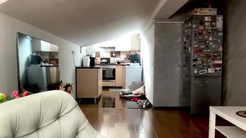 amyroberta92 online show from February 25, 8:13 am