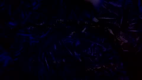 anal_stoner69 online show from December 4, 2:31 am