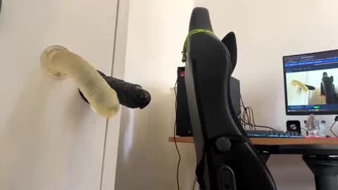 analass_ online show from September 20, 11:00 am