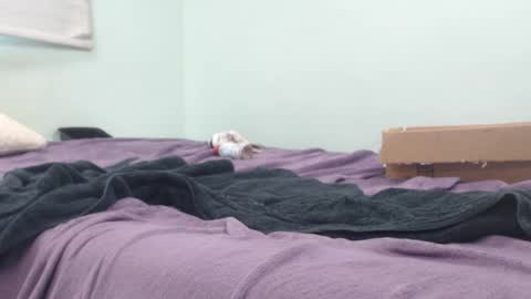 AnalKing online show from October 14, 10:43 pm