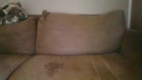 Snapshot of andellus chatting on February 2, 11:51 am andellus online show from February 2, 11:51 am