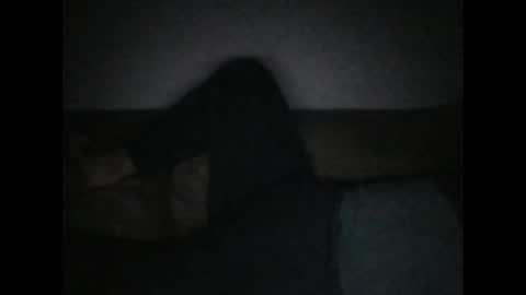 Snapshot of andellus chatting on November 2, 11:18 pm andellus online show from November 2, 11:18 pm