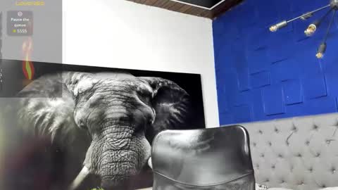 insta andres clark  online show from March 25, 4:24 pm